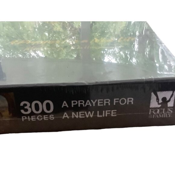 A Prayer for A New Life by Morgan Weistling 300 Piece Puzzle Focus on the Family - Picture 3 of 4